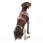 Preview: Kurgo Journey Air Harness Rot  Gr. S